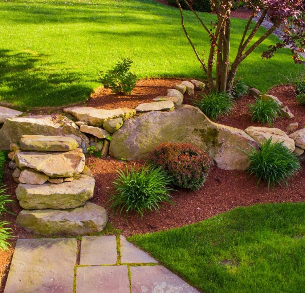 landscapin-4